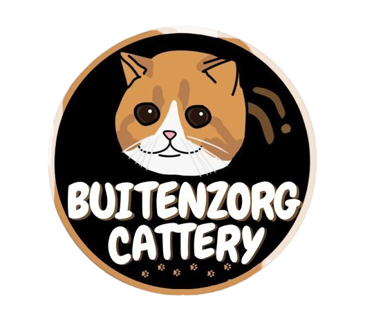 Buitenzorg Cattery