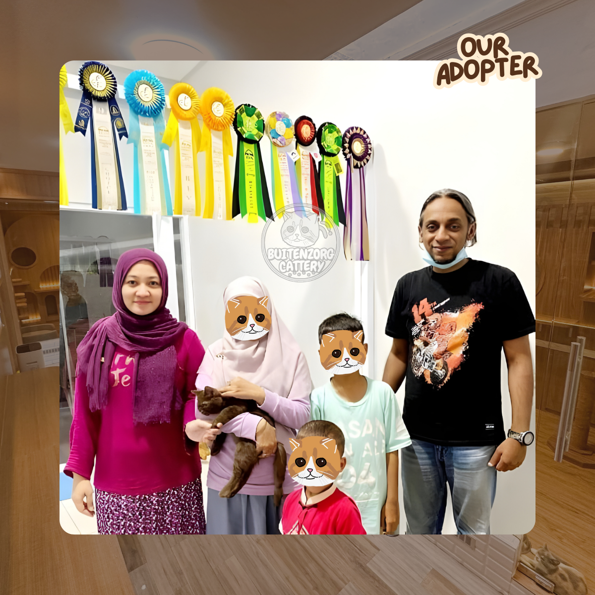 Buitenzorg Cattery Adopted