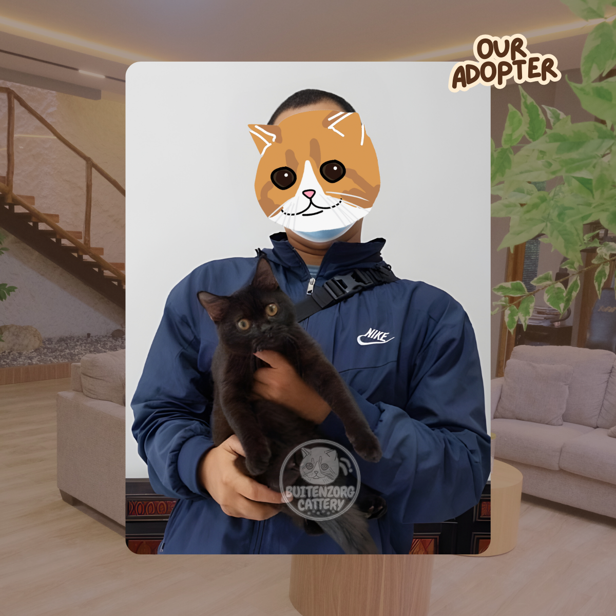 Buitenzorg Cattery Adopted