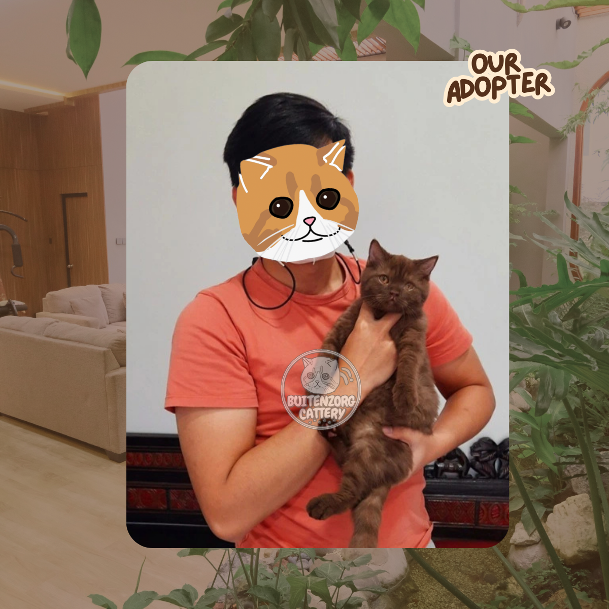 Buitenzorg Cattery Adopted