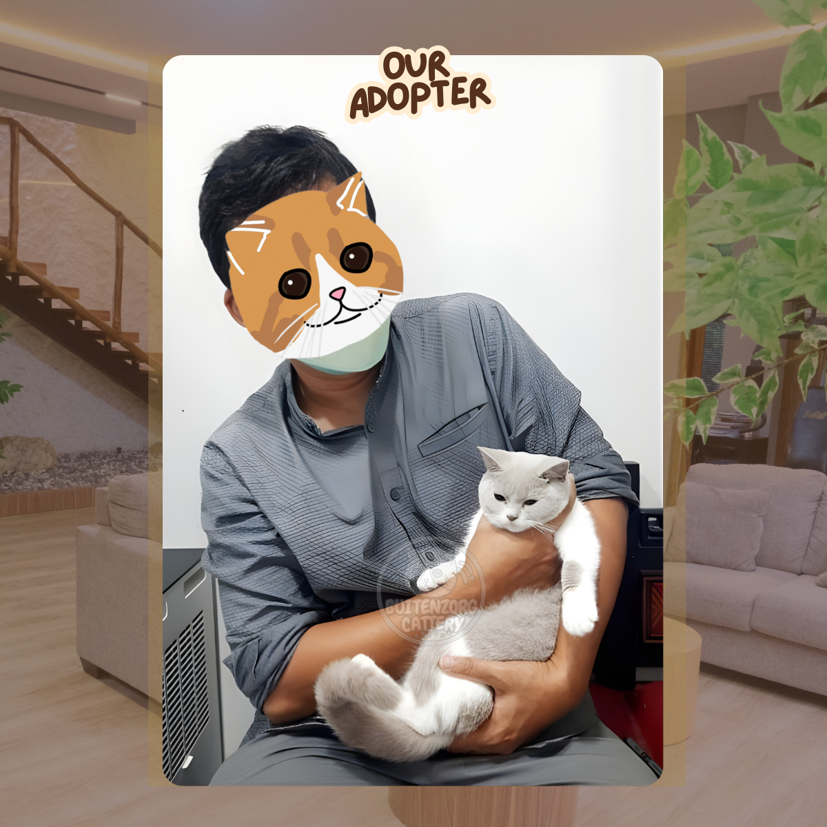 Buitenzorg Cattery Teradopsi